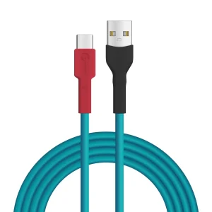 Türkis­naschvogel USB A - USB C