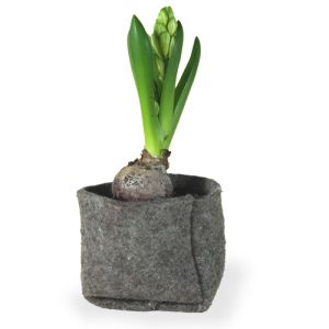 Filztopf für Pflanzen
